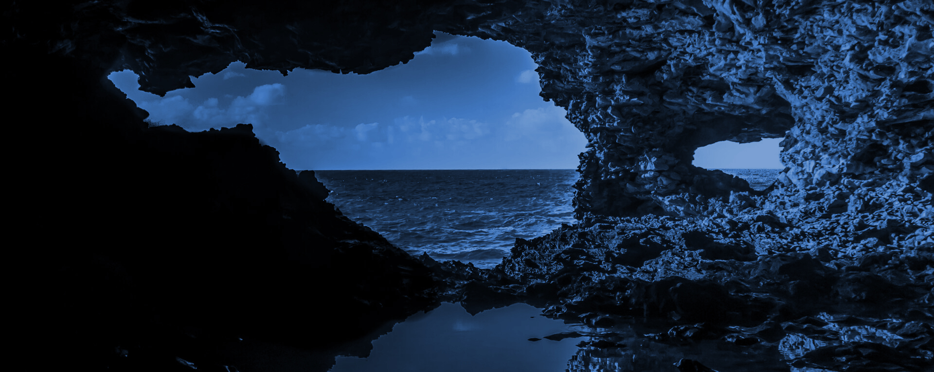animal-flower-cave-banner FT Legal is a boutique law firm based in Barbados offering legal and fiduciary services.